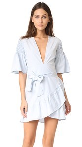 Saylor Phebe Shirting Dress