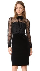 Badgley Mischka Collection Lace Collared Dress