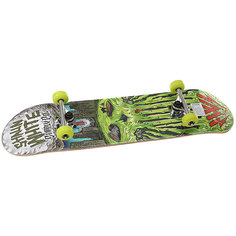 Скейтборд в сборе Shaun White Supply Co Shaun White -3 Griffon Multi 32.5 X 8 (20.3 СМ)