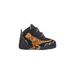 Ботинки для мальчика Dinosoles