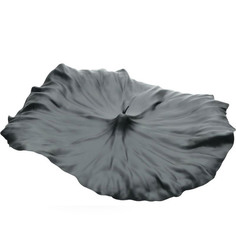 Блюдо "a lotus leaf" Alessi