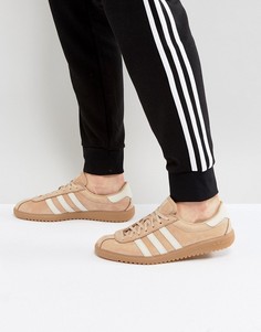 Бежевые замшевые кроссовки adidas Originals Bermuda BY9654 - Бежевый