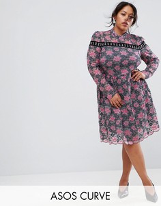Кружевное приталенное платье с отделкой ASOS CURVE - Мульти