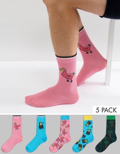 5 пар носков с принтом туканов и дронтов ASOS - Мульти