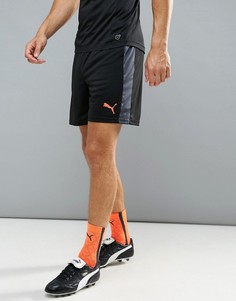Черные футбольные шорты Puma Football evoTRG 65534806 - Черный