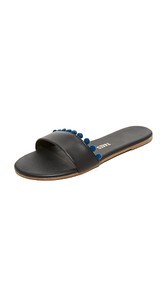 TKEES Alex Pom Slides