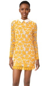 endless rose Long Sleeve All Over Lace Dress