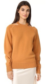 Jason Wu Cashmere Sweater with Cutouts