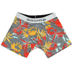 Трусы Quiksilver Boxer Poster Quiet Shade Desert