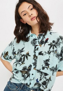 Блуза Topshop