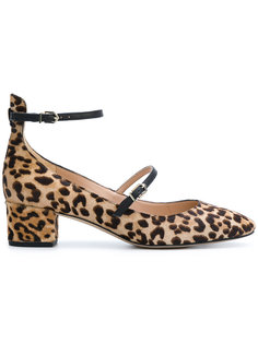 Lulie leopard pumps Sam Edelman