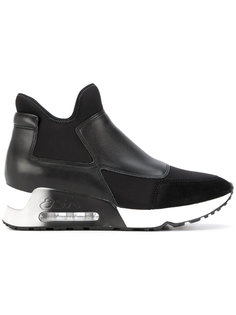 хайтопы Lazer Ash