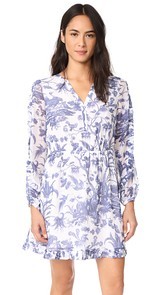 Club Monaco Ladalia Dress