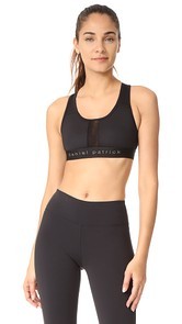 Daniel Patrick Trail Sport Bra