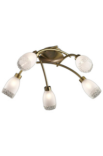 Люстра ODEON LIGHT
