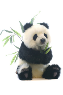 Детеныш панды Hansa