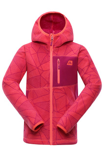 Толстовка Alpine Pro