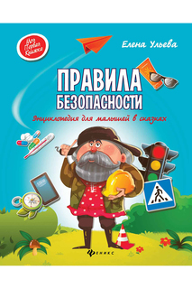 Правила безопасности ФЕНИКС