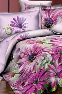Постельное бельё ЕВРО 70x70 BegAl