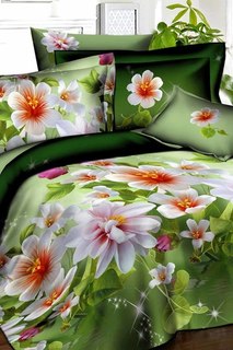 Постельное бельё 1,5 сп 70х70 BegAl