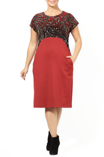 DRESS Zedd Plus