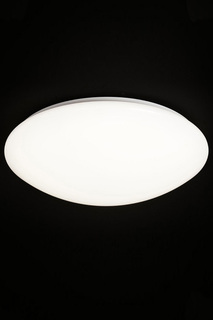 Светильник настенно-потолочный Natali Kovaltseva