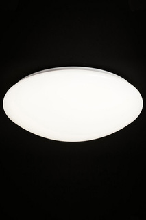 Светильник настенно-потолочный Natali Kovaltseva