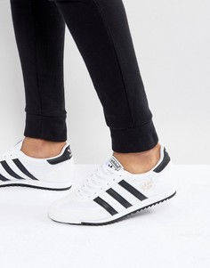 Белые кроссовки adidas Originals Dragon OG - Белый