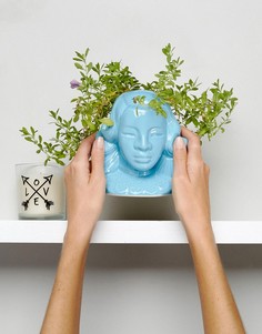 Цветочный горшок Rock N Rose Leilani - Мульти