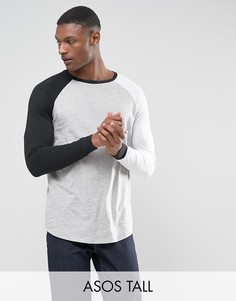 Длинный лонгслив с контрастными рукавами реглан ASOS TALL - Мульти
