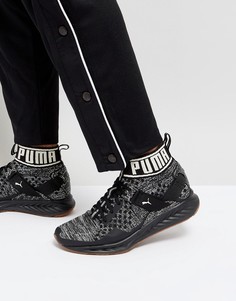Черные кроссовки Puma Ignite EvoKnit Hypernature 19033703 - Черный