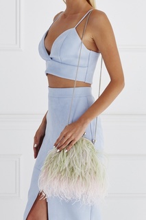 Клатч с перьями T Skirt