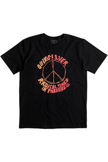 Футболка Quiksilver