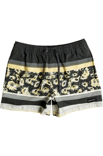 Шорты Quiksilver