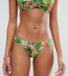 Трусы бикини с пальмовым принтом эксклюзивно для ASOS FULLER BUST - Мульти