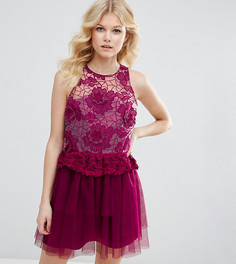 Платье для выпускного с вышивкой и 3D отделкой ASOS PETITE - Розовый