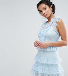 Платье с оборками из сетки с цветочным узором и в горошек True Decadence Petite - Синий