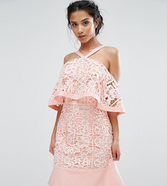 Кружевное платье мини с открытыми плечами Jarlo Petite - Розовый