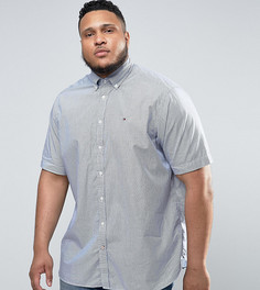 Сине-белая рубашка в полоску с короткими рукавами Tommy Hilfiger PLUS - Темно-синий