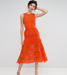 Кружевное приталенное платье миди для выпускного True Decadence Tall - Оранжевый