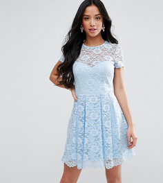 Короткое приталенное платье из кружева ASOS PETITE - Синий