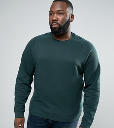 Зеленый свитшот ASOS PLUS - Зеленый