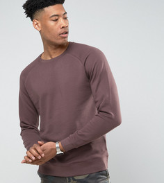 Коричневый свитшот ASOS TALL - Коричневый