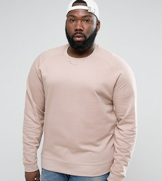 Розовый свитшот ASOS PLUS - Розовый