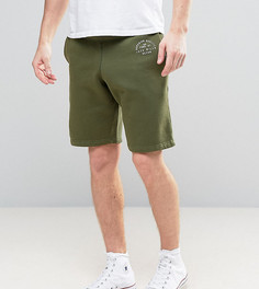 Трикотажные шорты цвета хаки Jack Wills Balmore - Зеленый