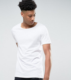 Белая удлиненная футболка с овальным вырезом ASOS TALL - Белый