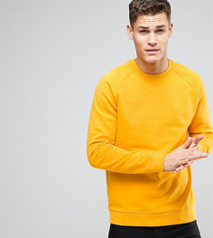 Желтый свитшот ASOS TALL - Желтый
