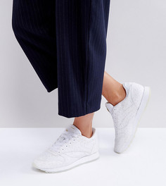 Кожаные классические кроссовки с вышивкой ришелье ASOS WHITE x Reebok - Белый