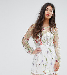 Сетчатое платье мини с вышивкой Boohoo Petite - Бежевый