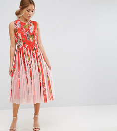 Приталенное платье миди со свободной юбкой и цветочным принтом ASOS PETITE - Мульти